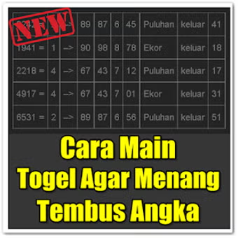 Cara Cerdas Bermain Togel Online