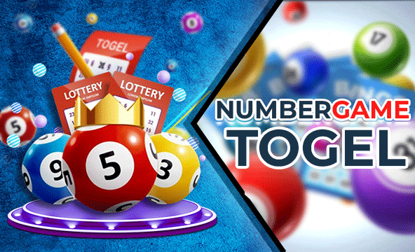 Prediksi Shio Paling Sering Tembus di Togel Online